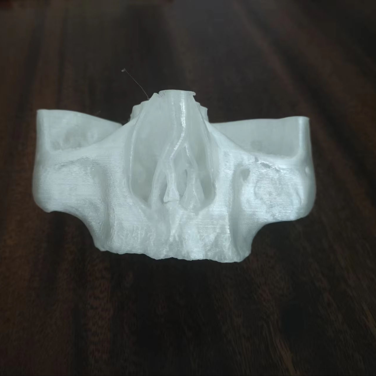 480-Most Popular Dental Sinus Lift Practice Model Used Resin Cancellous Bone for Practice.jpg